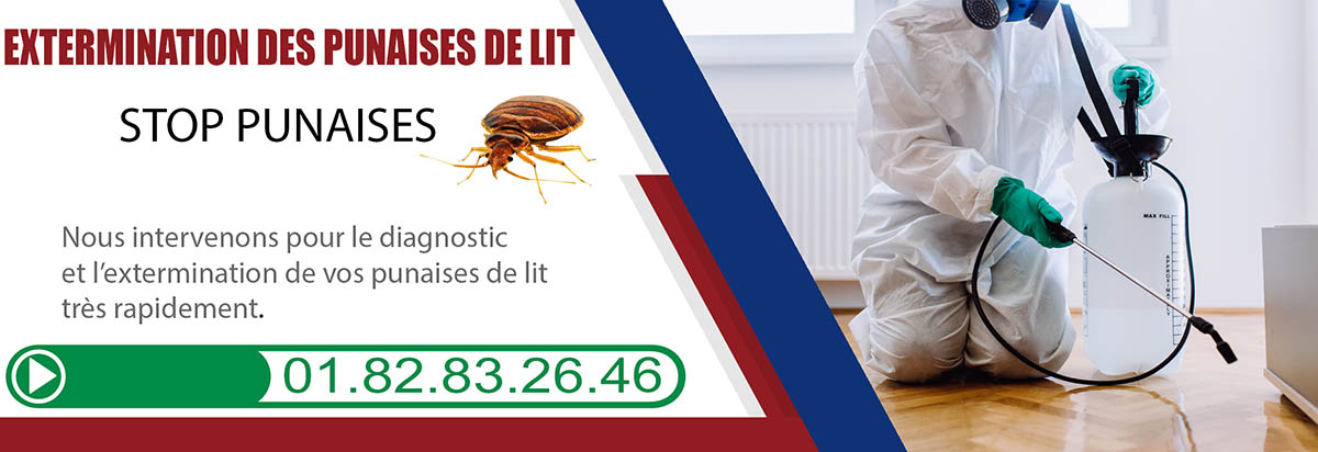 Punaises de lit Choisy le Roi 94600